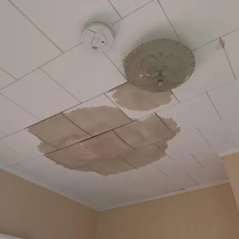 Ceiling Water Damage Repair in Oldham County, TX
